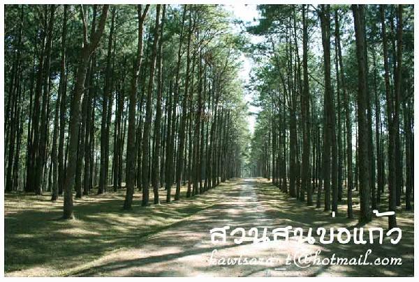 BoKaeoBotanicResearchStation