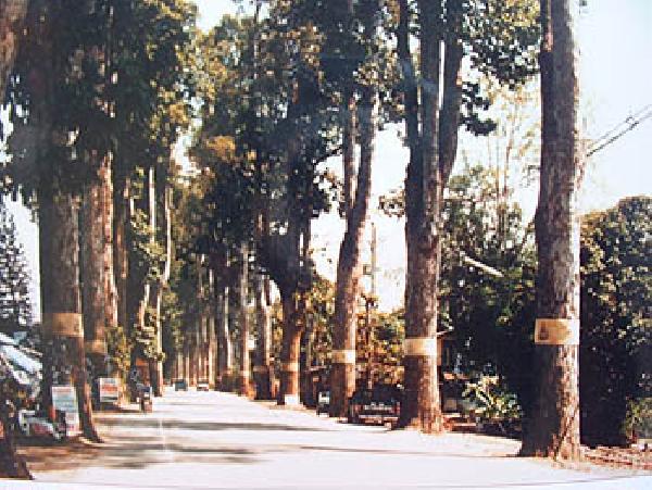 ChiangMaiLamphun