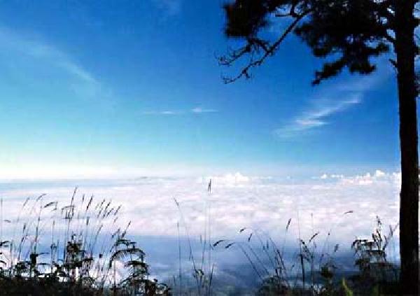 DoiWiangPha